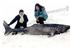 Ice Fishing:  Serenity at Sea